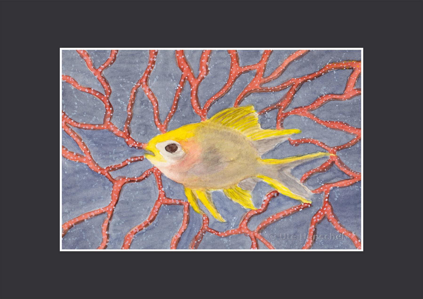 gelber Korallenfisch